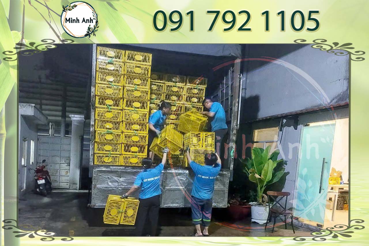 Xuất khẩu nông sản và giải pháp đóng gói