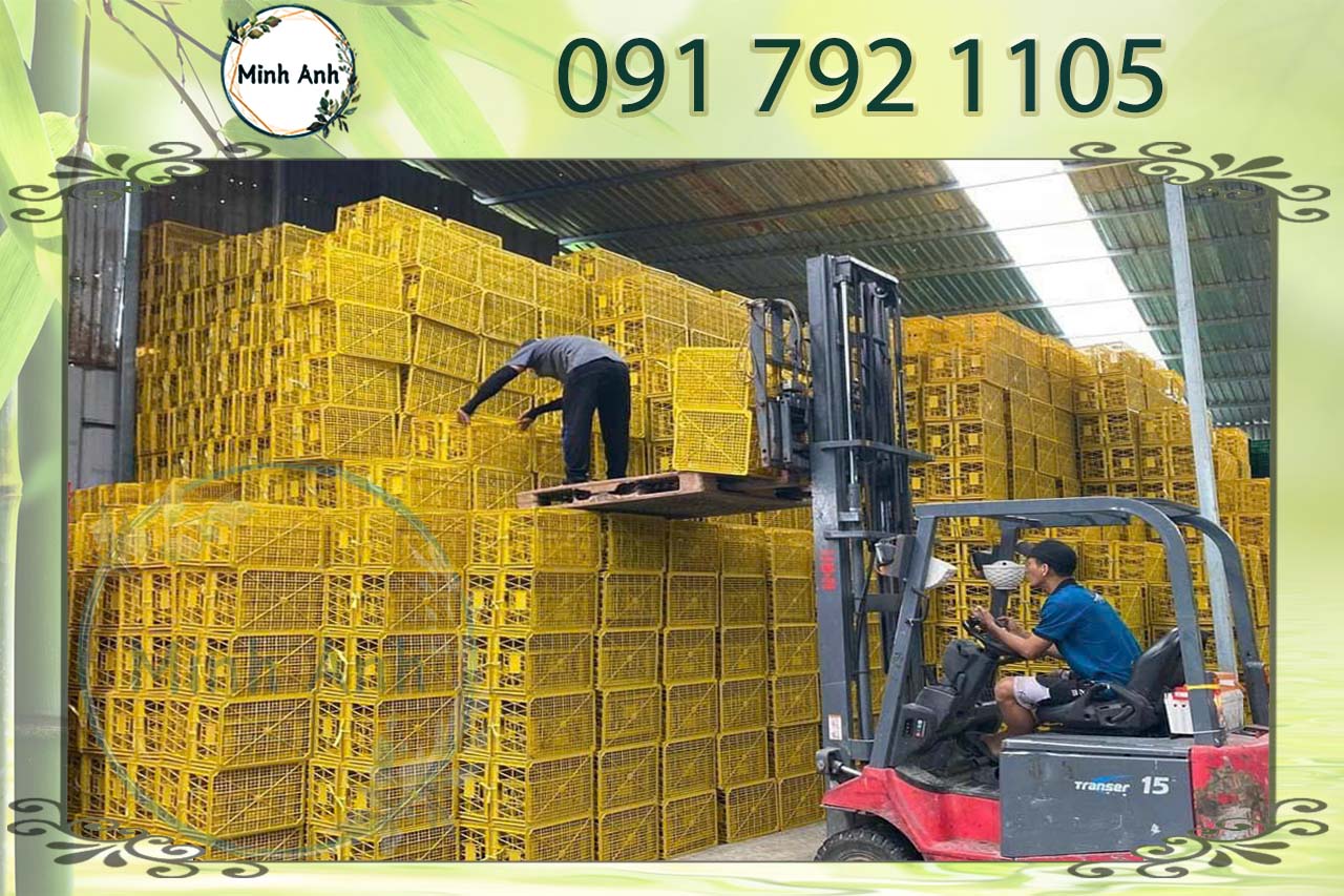 Sóng hở trái cây xuất khẩu đạt chuẩn quốc tế